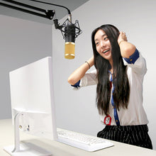 Cargar imagen en el visor de la galería, Professional Studio Broadcasting BM-800 Condenser Sound