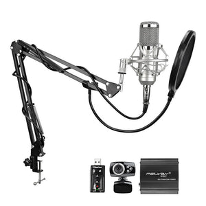 professional audio karaoke microphones BM 800 condenser
